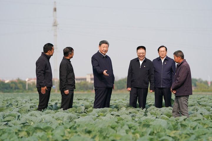 11月4日至6日，中共中央总书记、国家主席、中央军委主席习近平在湖北考察。这是5日上午，习近平在咸宁市嘉鱼县潘家湾镇十里蔬菜长廊考察时，走进田间，察看蔬菜长势。新华社记者 谢环驰 摄